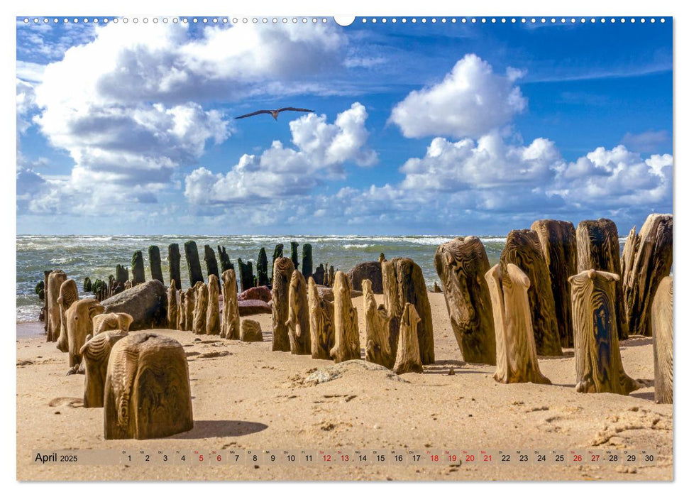 Naturlandschaft WATTENMEER (CALVENDO Premium Wandkalender 2025)