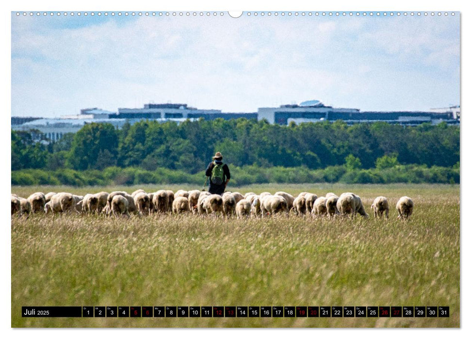 Garching bei München / Die schönsten Ansichten. (CALVENDO Premium Wandkalender 2025)