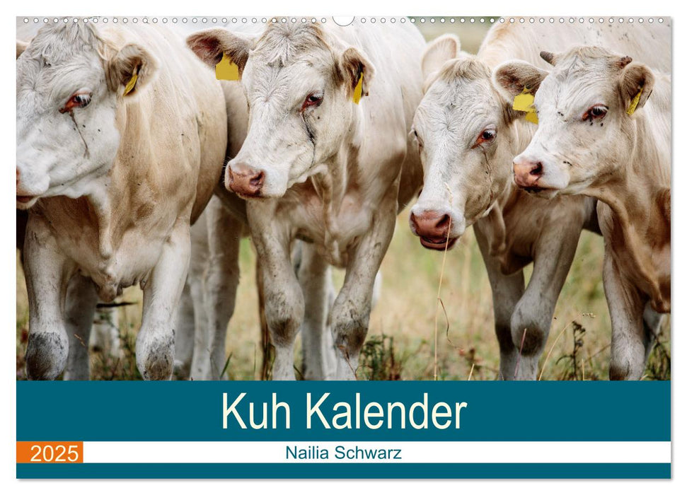 Kur Kalender (CALVENDO Wandkalender 2025)