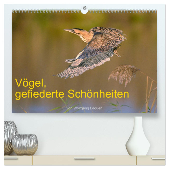 Vögel, Gefiederte Schönheiten (CALVENDO Premium Wandkalender 2025)