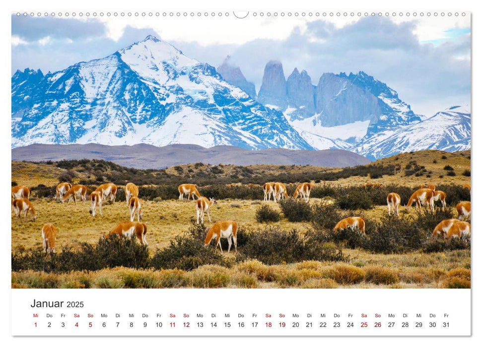 Chile - Das langgestreckte Land. (CALVENDO Premium Wandkalender 2025)