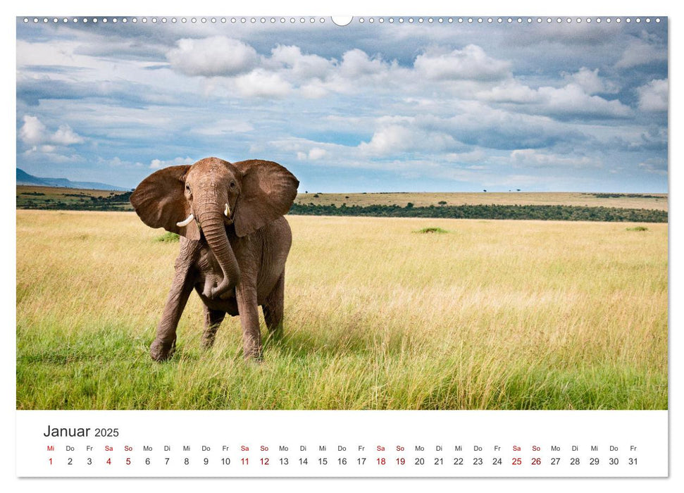 Kenia - Das wundervolle Land in Afrika. (CALVENDO Premium Wandkalender 2025)