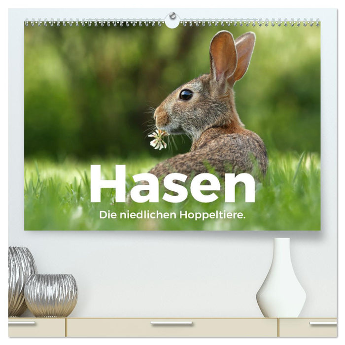 Hasen - Die niedlichen Hoppeltiere. (CALVENDO Premium Wandkalender 2025)