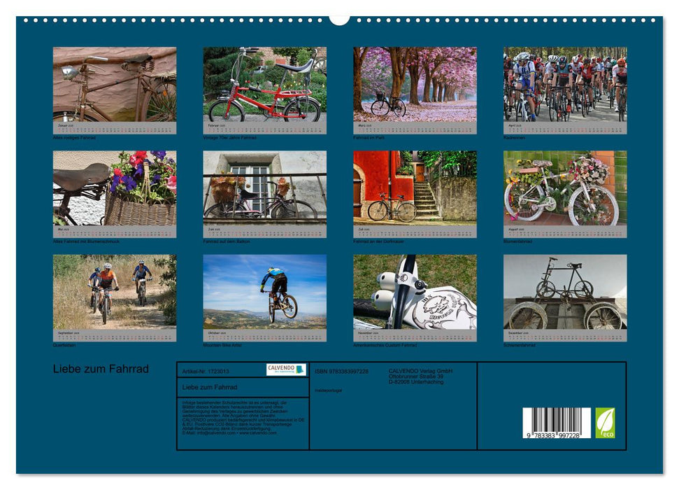 Liebe zum Fahrrad (CALVENDO Premium Wandkalender 2025)