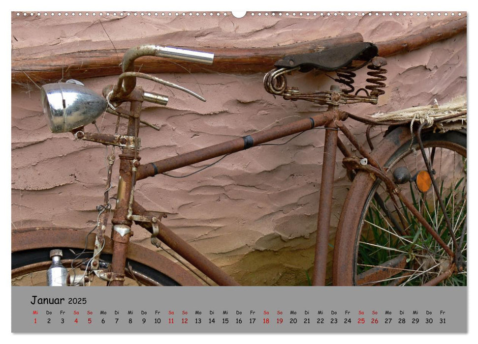 Liebe zum Fahrrad (CALVENDO Premium Wandkalender 2025)