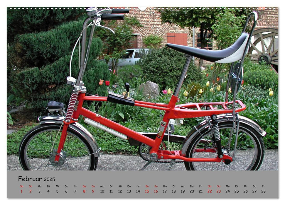 Liebe zum Fahrrad (CALVENDO Premium Wandkalender 2025)