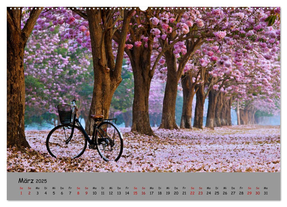 Liebe zum Fahrrad (CALVENDO Premium Wandkalender 2025)