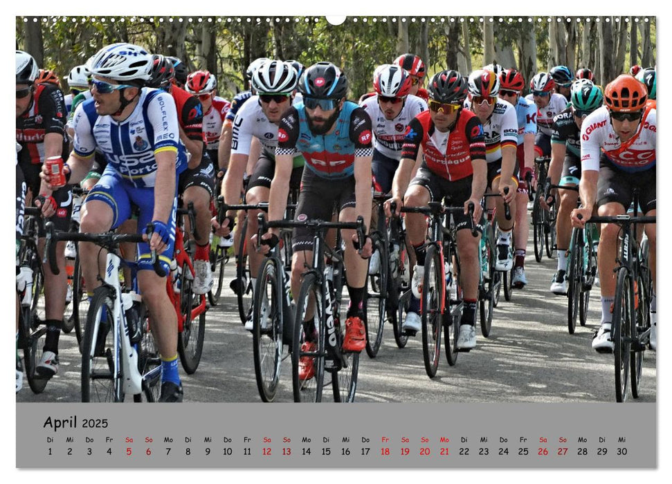 Liebe zum Fahrrad (CALVENDO Premium Wandkalender 2025)