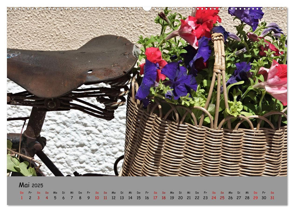 Liebe zum Fahrrad (CALVENDO Premium Wandkalender 2025)