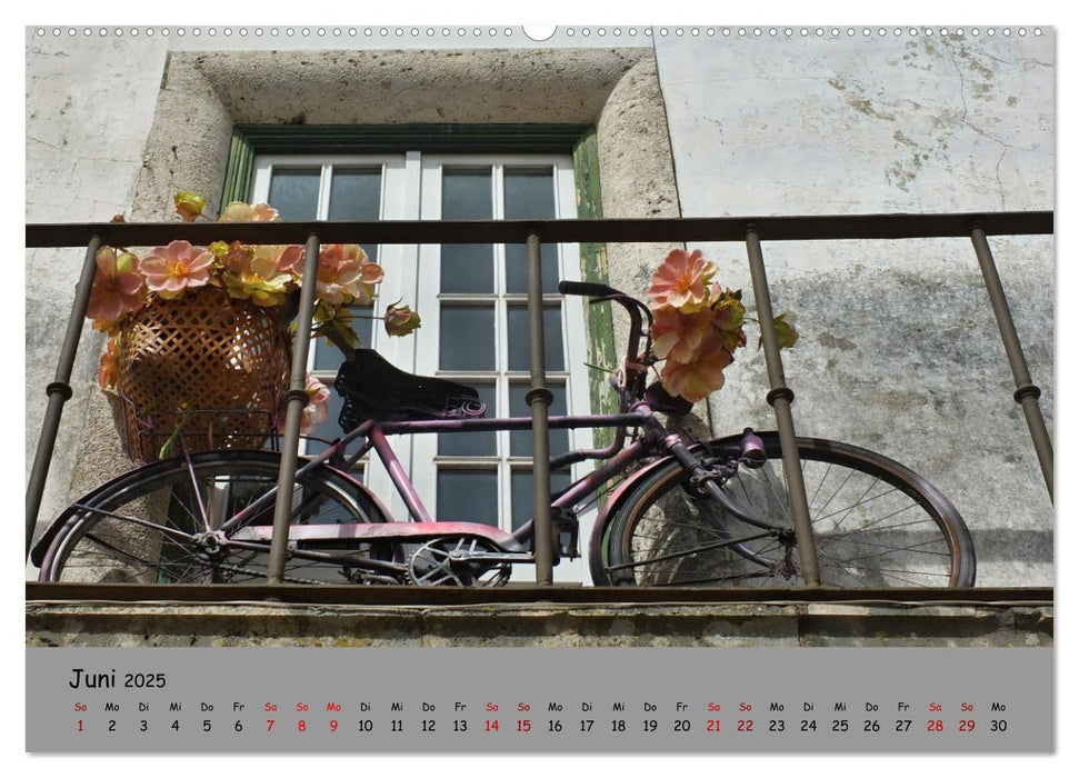 Liebe zum Fahrrad (CALVENDO Premium Wandkalender 2025)