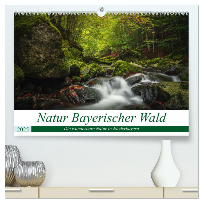 Natur Bayerischer Wald (CALVENDO Premium Wandkalender 2025)