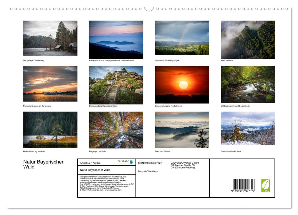 Natur Bayerischer Wald (CALVENDO Premium Wandkalender 2025)