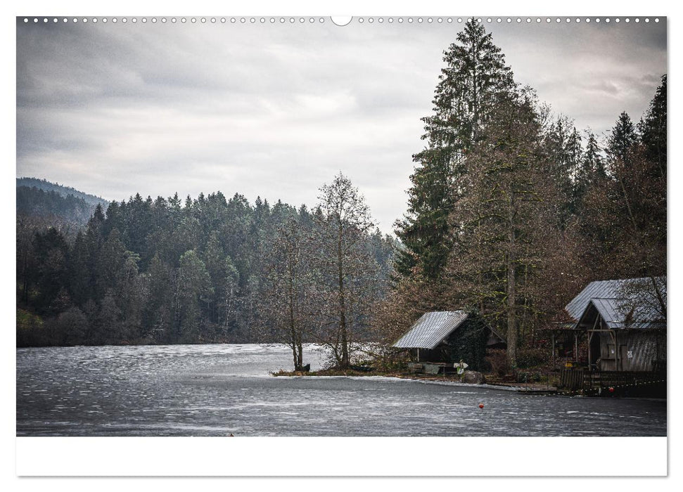 Natur Bayerischer Wald (CALVENDO Premium Wandkalender 2025)