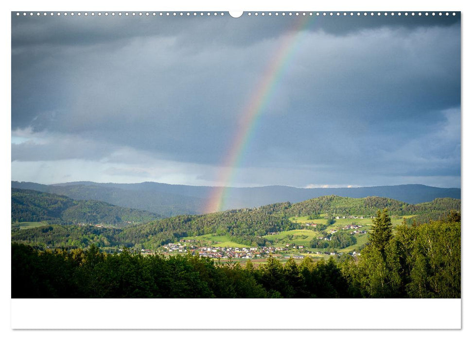 Natur Bayerischer Wald (CALVENDO Premium Wandkalender 2025)