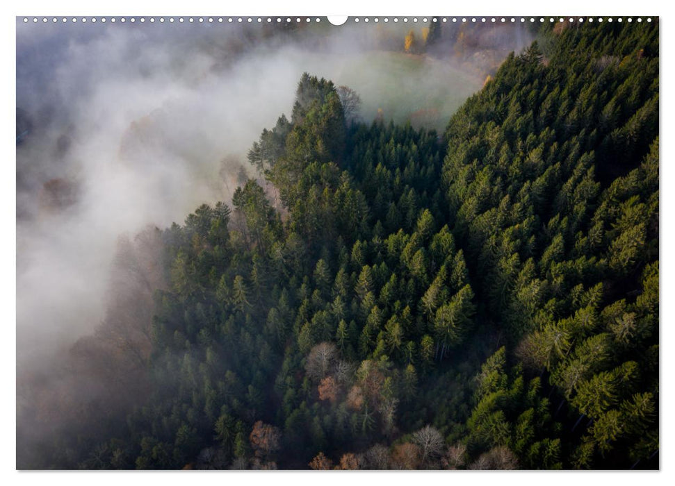 Natur Bayerischer Wald (CALVENDO Premium Wandkalender 2025)