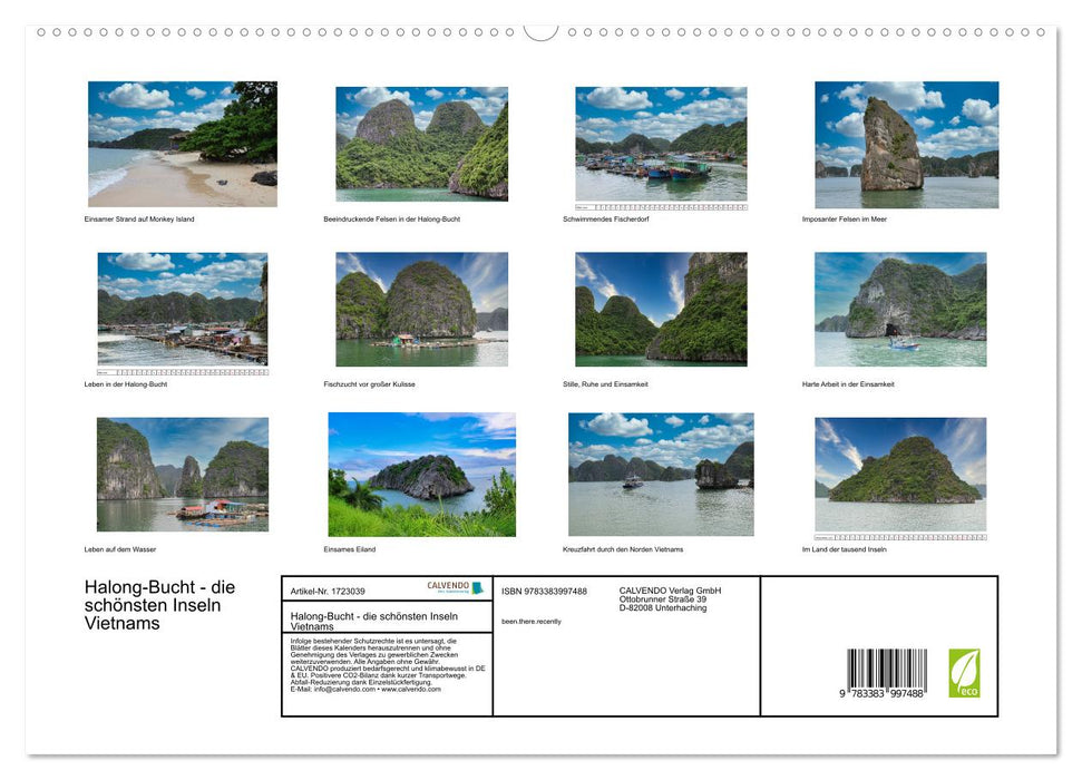 Halong-Bucht - die schönsten Inseln Vietnams (CALVENDO Premium Wandkalender 2025)