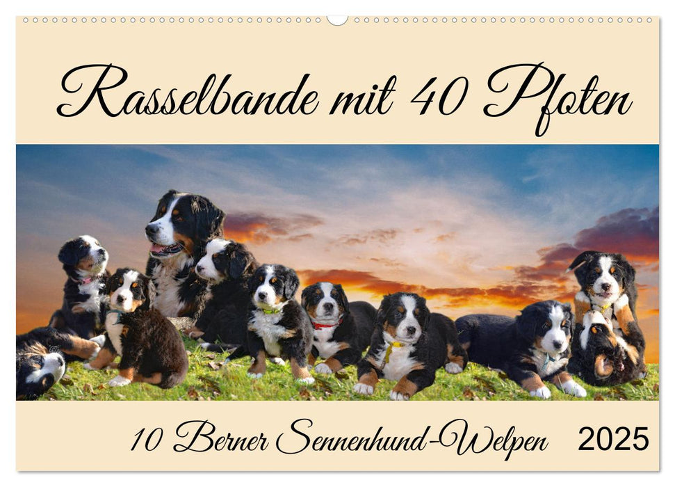 Rasselbande mit 40 Pfoten (CALVENDO Wandkalender 2025)