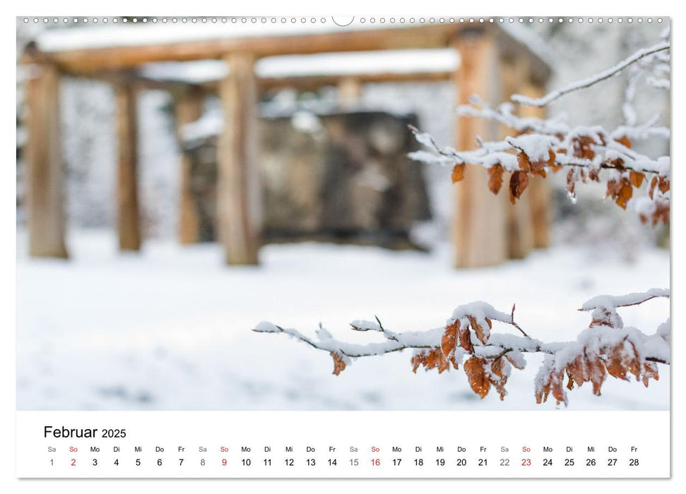 Wittgenstein – Eine Region mit beeindruckend schöner Landschaft (CALVENDO Wandkalender 2025)