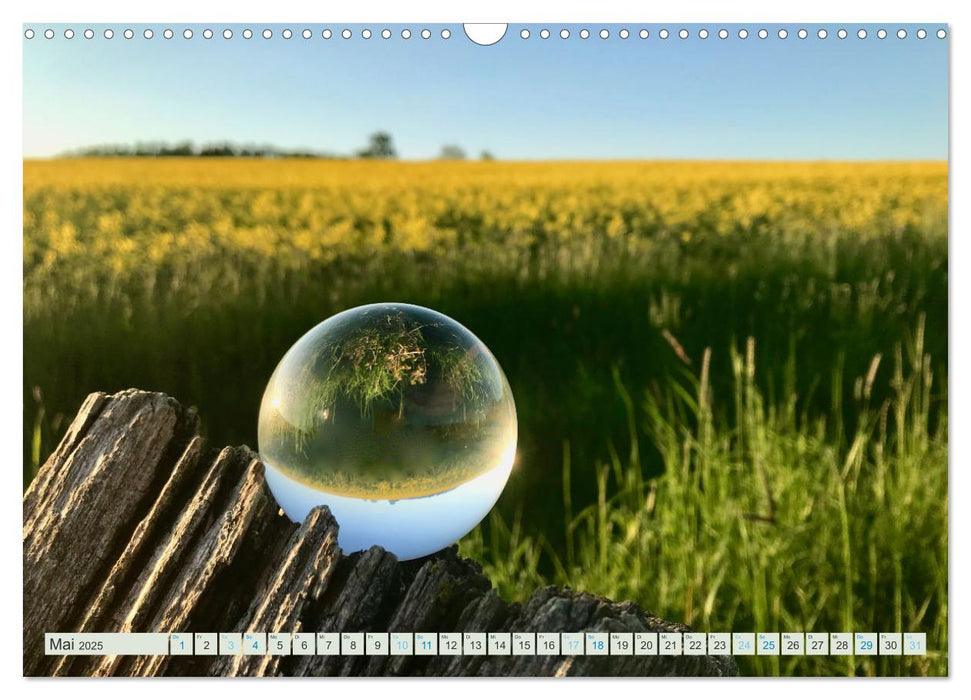 Perspektiven 2025 - Natur im Prismablick (CALVENDO Wandkalender 2025)