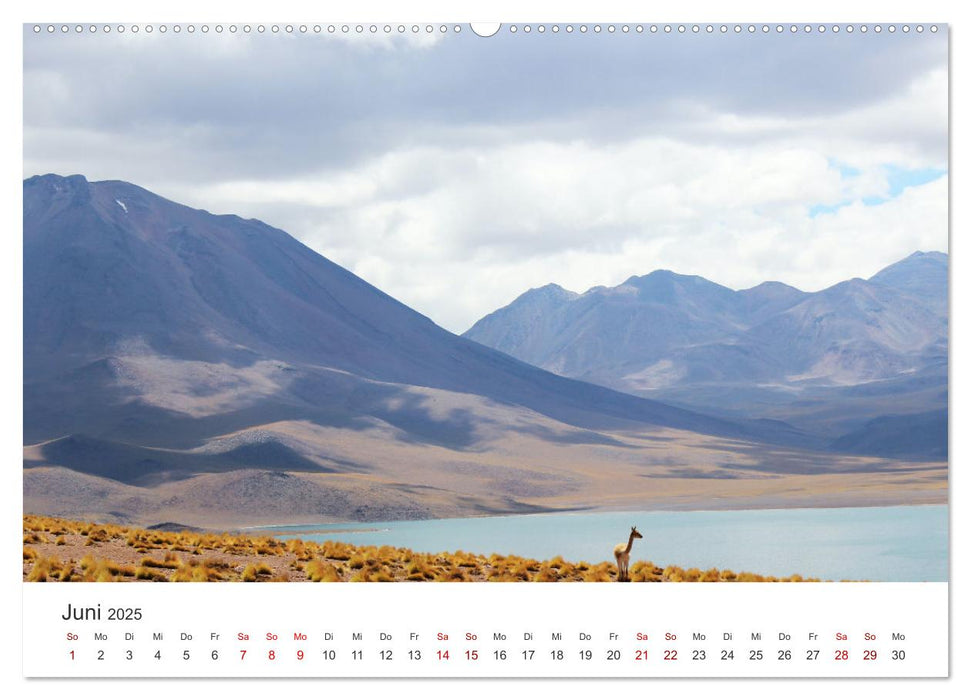 Chile - Ein unbekanntes Paradies. (CALVENDO Premium Wandkalender 2025)