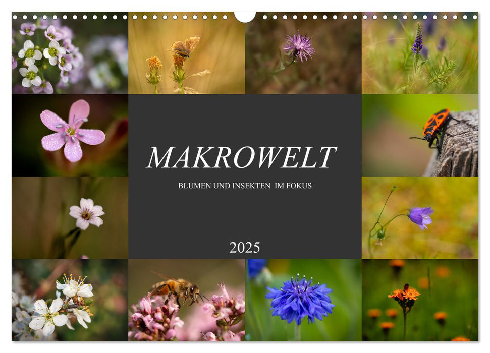 Makrowelt - Blumen und Insekten im Fokus (CALVENDO Wandkalender 2025)