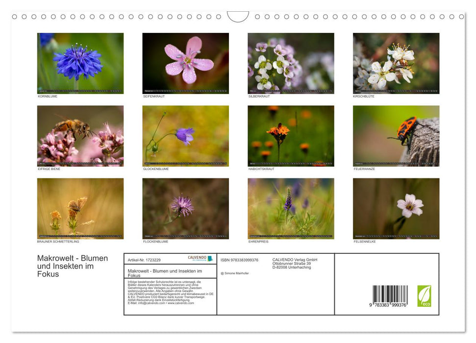 Makrowelt - Blumen und Insekten im Fokus (CALVENDO Wandkalender 2025)