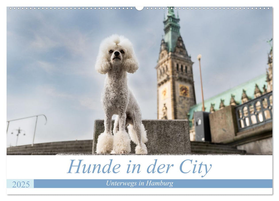 Hunde in der City - Unterwegs in Hamburg (CALVENDO Wandkalender 2025)