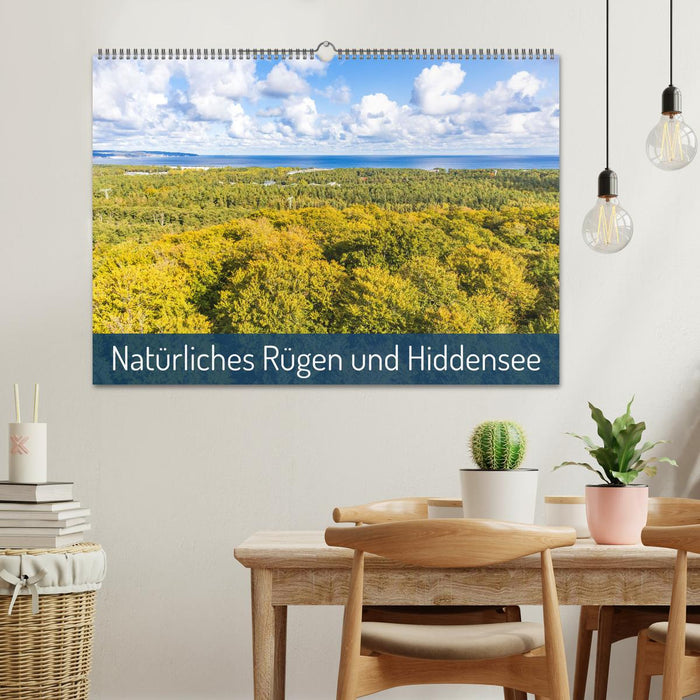 Natürliches Rügen und Hiddensee (CALVENDO Wandkalender 2025)