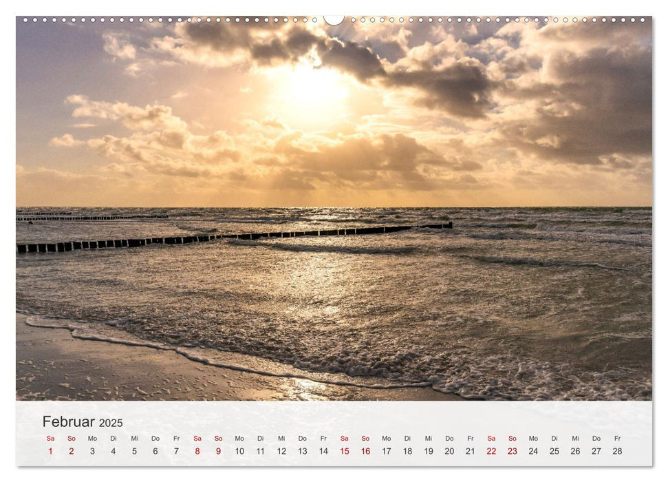 Natürliches Rügen und Hiddensee (CALVENDO Wandkalender 2025)