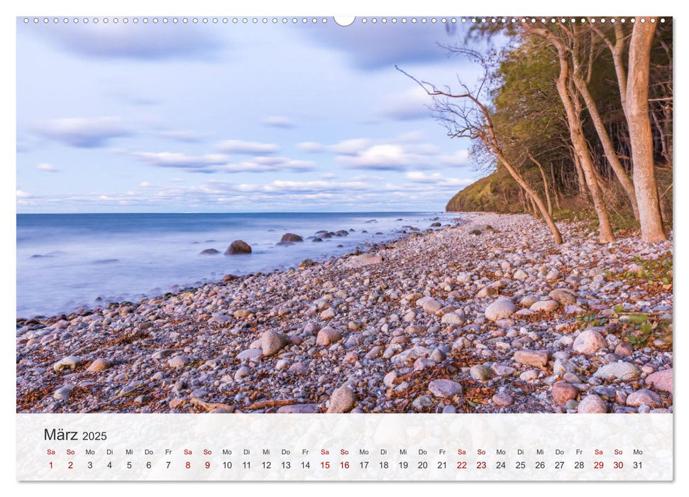 Natürliches Rügen und Hiddensee (CALVENDO Wandkalender 2025)