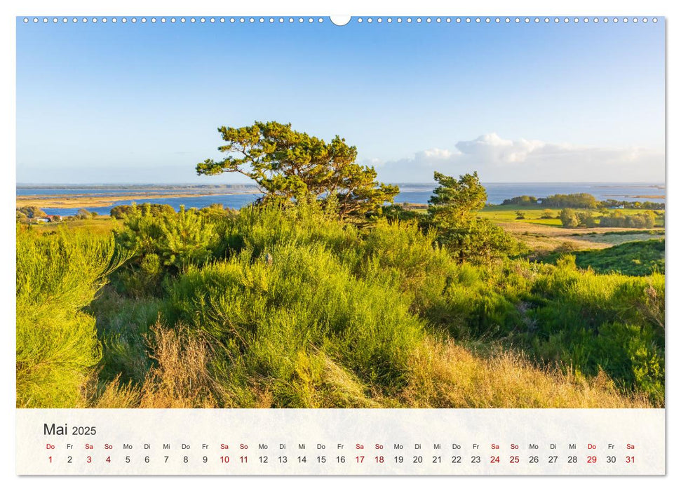 Natürliches Rügen und Hiddensee (CALVENDO Wandkalender 2025)