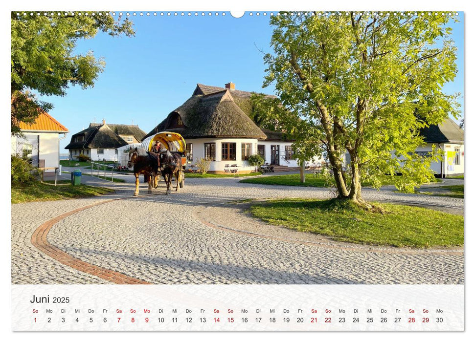 Natürliches Rügen und Hiddensee (CALVENDO Wandkalender 2025)