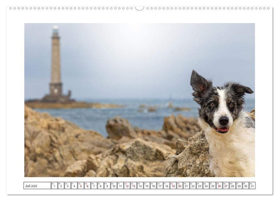 Strand-Strolche (CALVENDO Premium Wandkalender 2025)