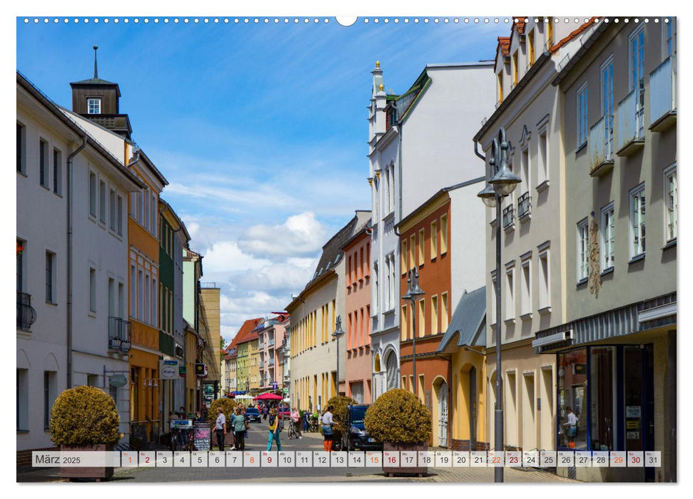 Senftenberg Impressionen (CALVENDO Premium Wandkalender 2025)