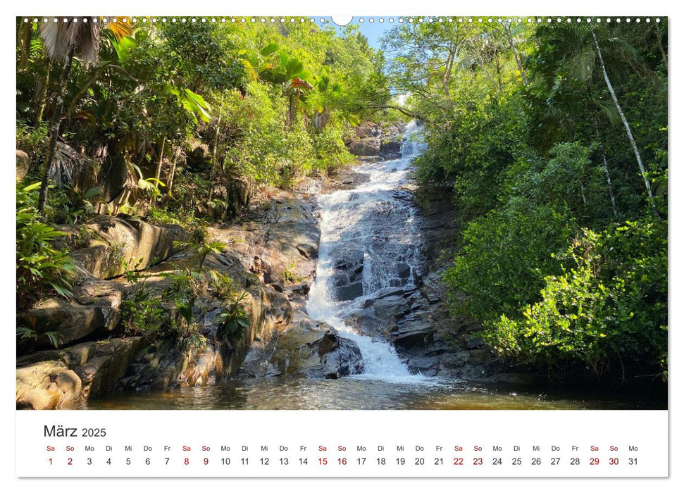 In Gedanken auf den Seychellen (CALVENDO Wandkalender 2025)