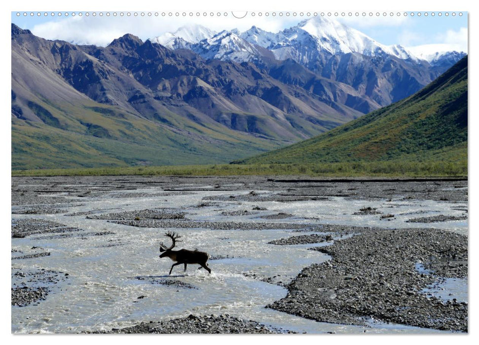 Alaska - Einblicke in das nördliche Land. (CALVENDO Premium Wandkalender 2025)