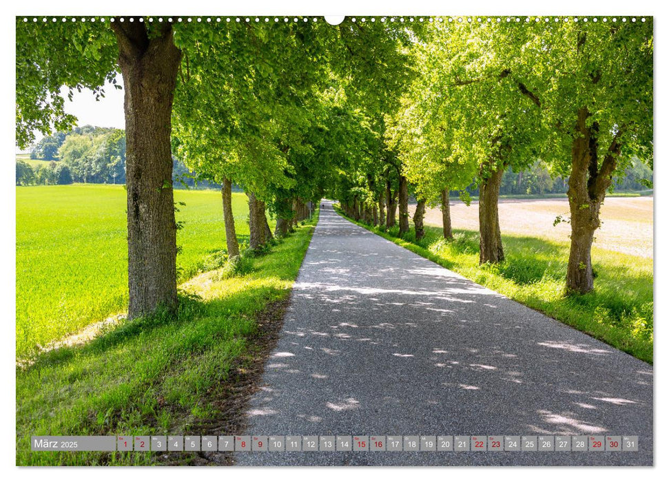 Niederbayerisches Vilstal (CALVENDO Premium Wandkalender 2025)