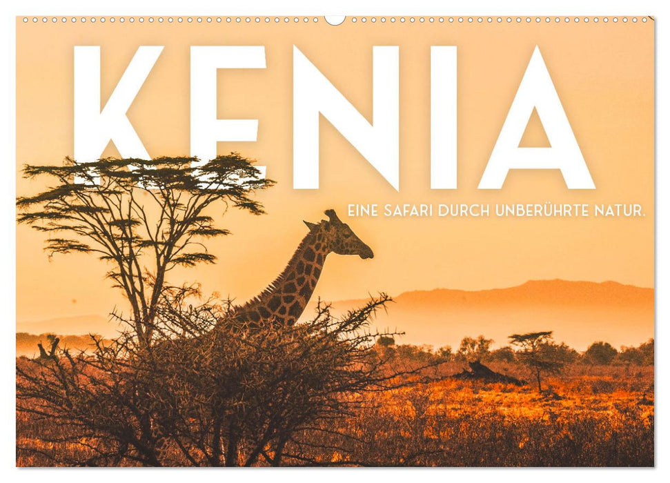 Kenia - Eine Safari durch unberührte Natur. (CALVENDO Wandkalender 2025)