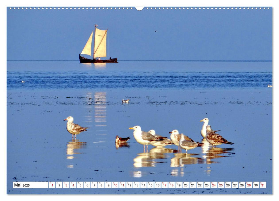 Unter Segeln übers Kurische Haff (CALVENDO Premium Wandkalender 2025)