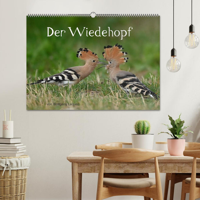 Der Wiedehopf (CALVENDO Wandkalender 2025)