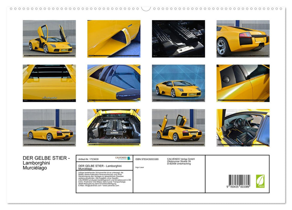 DER GELBE STIER - Lamborghini Murciélago (CALVENDO Premium Wandkalender 2025)