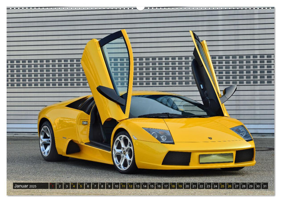 DER GELBE STIER - Lamborghini Murciélago (CALVENDO Premium Wandkalender 2025)