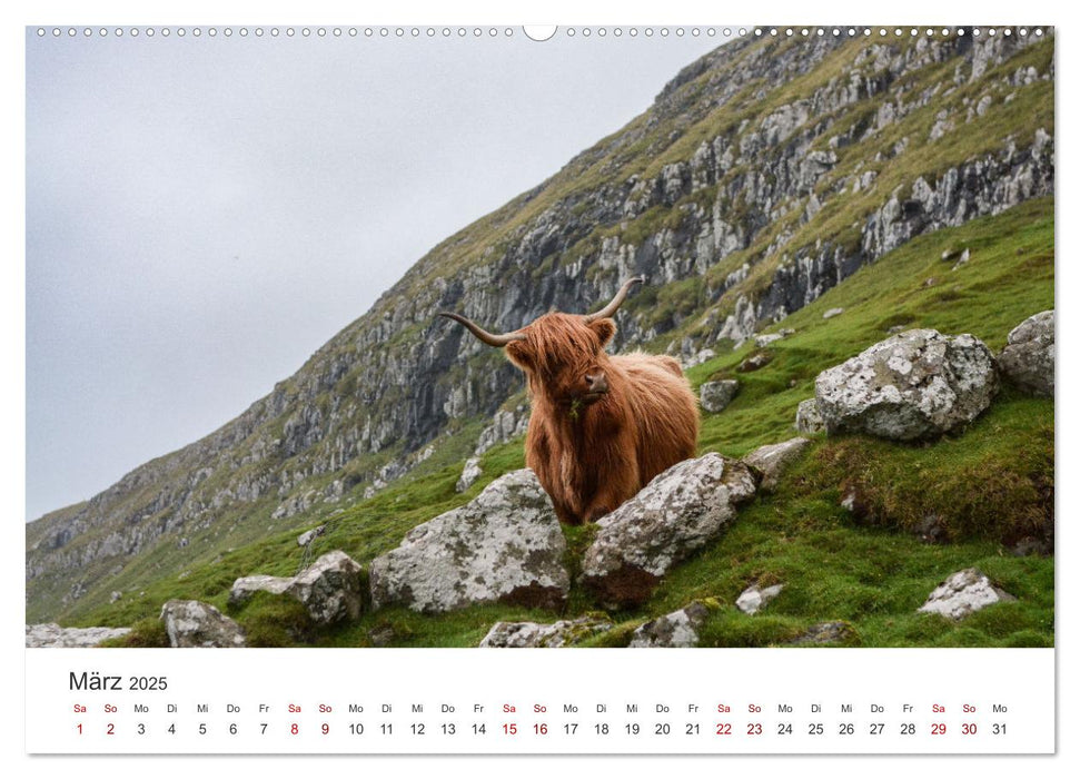 Färöer - Einzigartige Inseln (CALVENDO Wandkalender 2025)