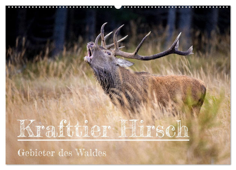 Krafttier Hirsch (CALVENDO Wandkalender 2025)