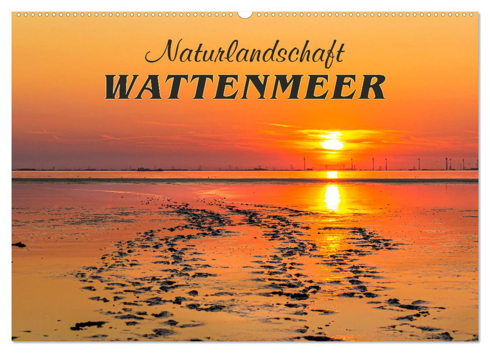 Naturlandschaft WATTENMEER (CALVENDO Wandkalender 2025)