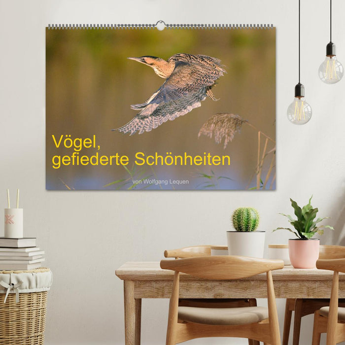 Vögel, Gefiederte Schönheiten (CALVENDO Wandkalender 2025)