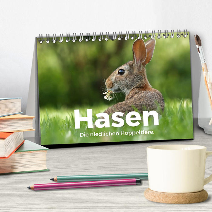 Hasen - Die niedlichen Hoppeltiere. (CALVENDO Wandkalender 2025)