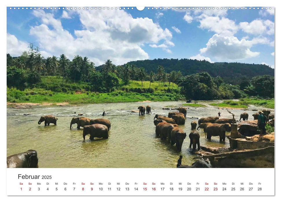 Sri Lanka - Eine einzigartige Trauminsel. (CALVENDO Wandkalender 2025)