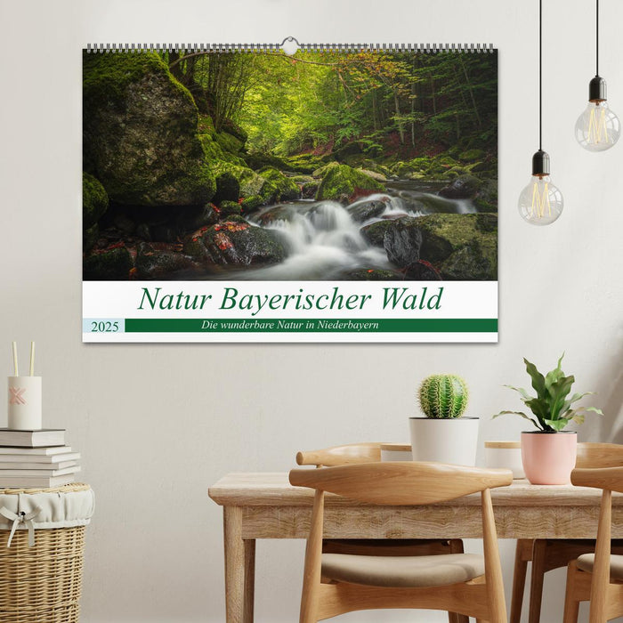 Natur Bayerischer Wald (CALVENDO Wandkalender 2025)