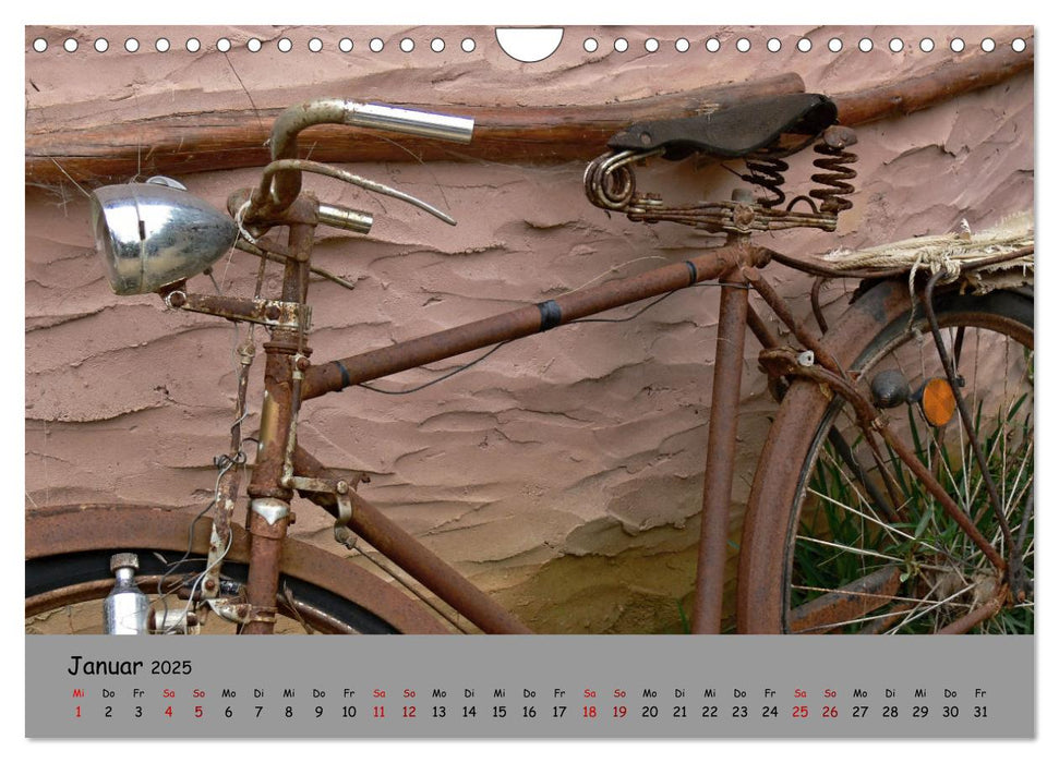 Liebe zum Fahrrad (CALVENDO Wandkalender 2025)